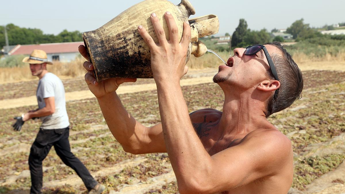 Un jornalero se refresca en la pasera que Bodegas Galán Portero instala cada año en Los Picos de El Cigarral.