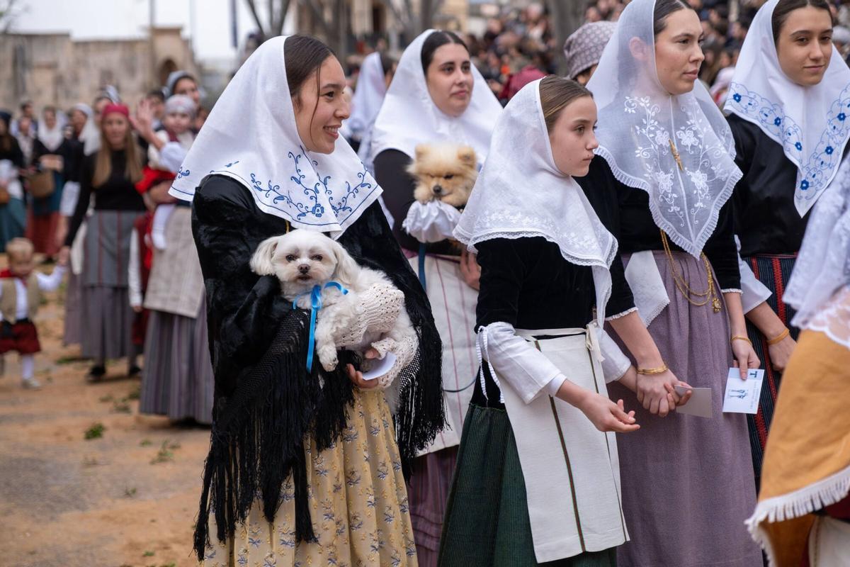 So eindrucksvoll waren die Tiersegnungen zu Sant Antoni 2026 in Muro