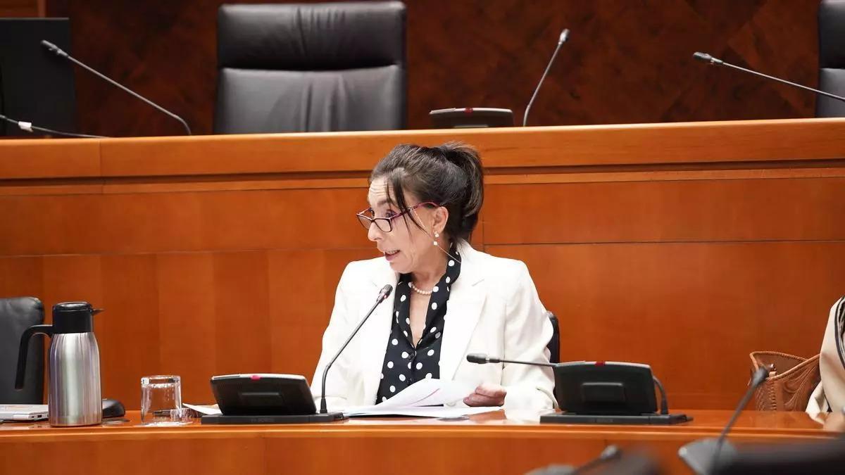Ángela Laguna, exdirectora de Vea Qualitas, en su comparecencia en 2024 en la comisión de investigación sobre las renovables abierta por las Cortes de Aragón.