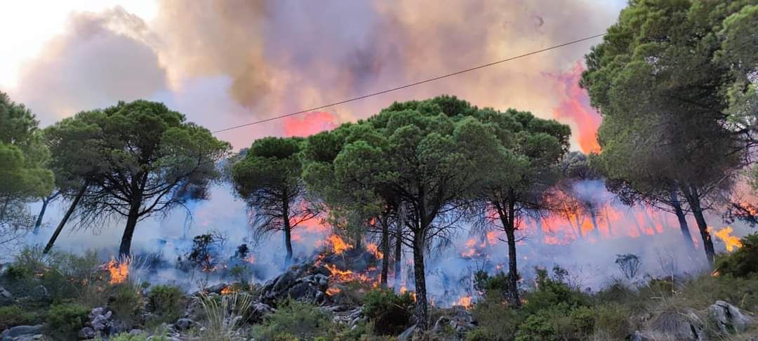 Imágenes del incendio en la Sierra de Mijas