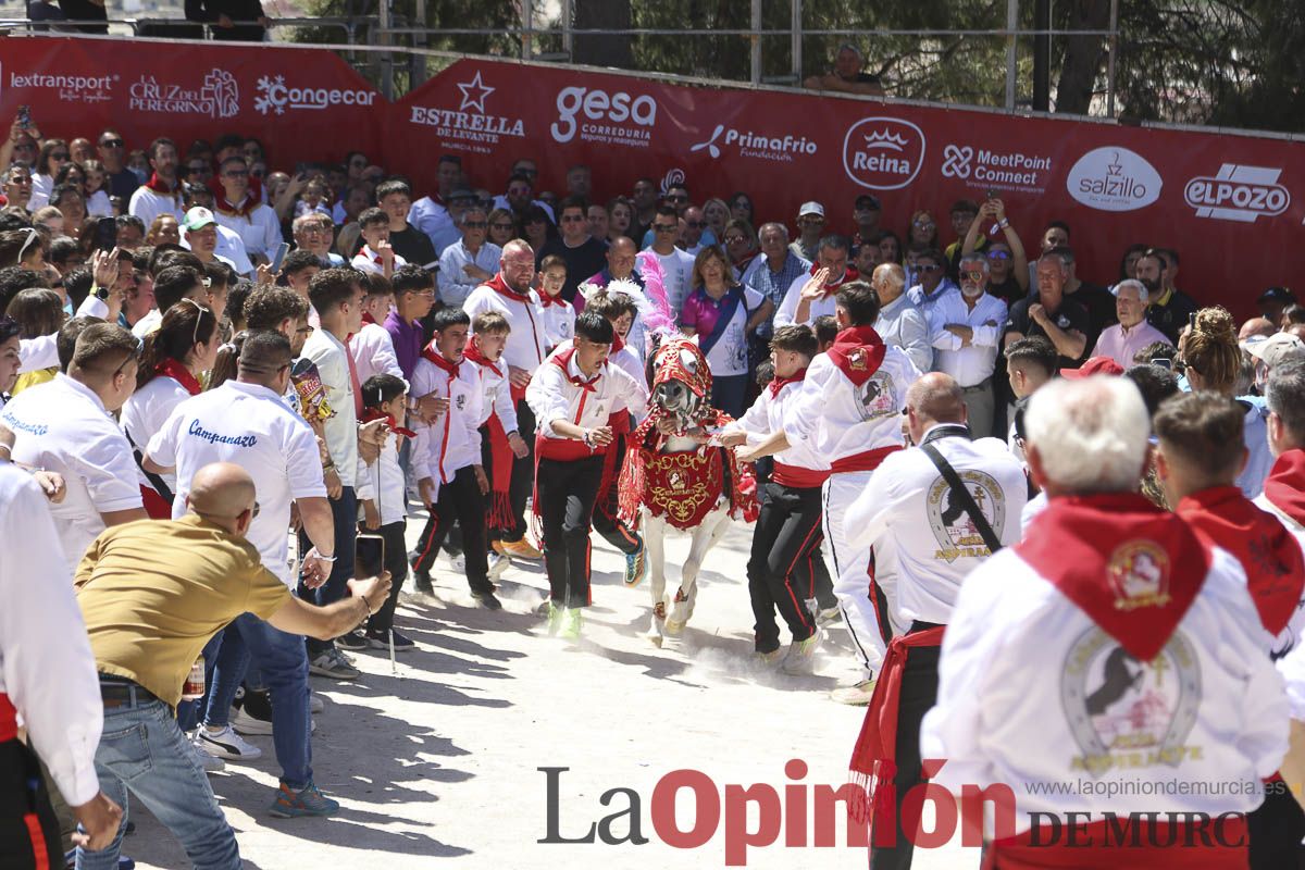 Fiestas de Caravaca: desfile infantil de los Caballos del Vino