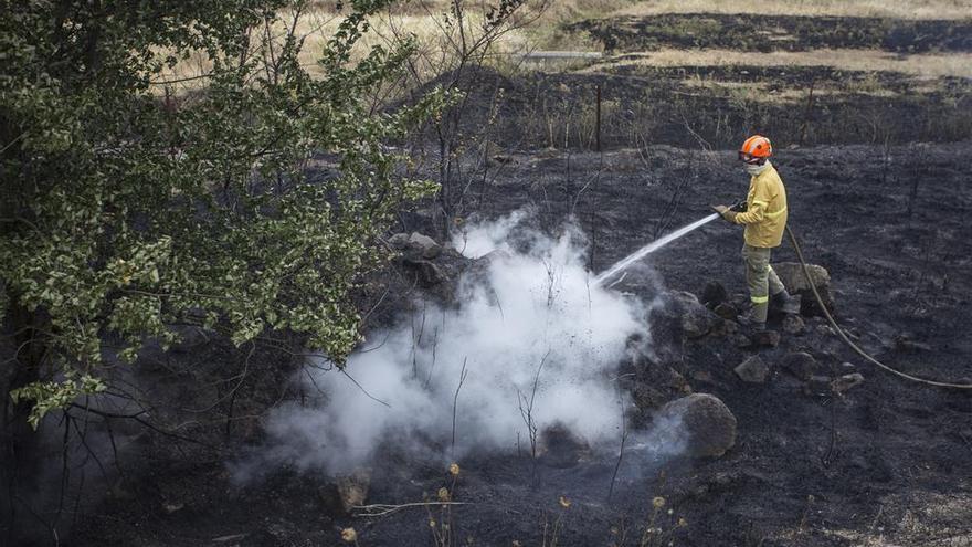 Controlado el incendio forestal declarado cerca de Cáceres