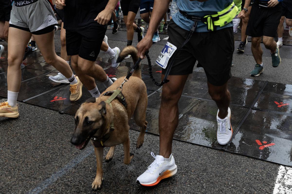 14.000 corredores participan en esta edición de la Cursa de la Mercè, en Barcelona.