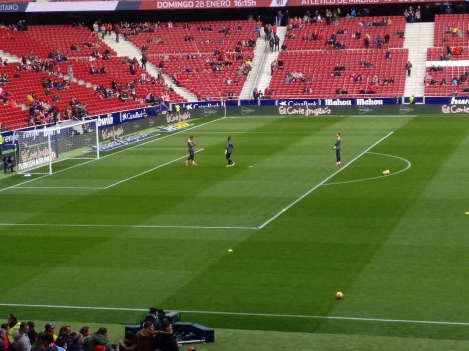 LaLiga. Partido Atlético de Madrid - UD Las Palmas