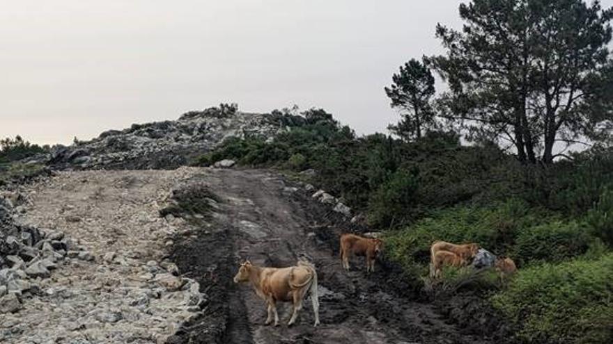 El TSXG suspende de forma cautelar la ejecución del parque eólico del monte Acibal