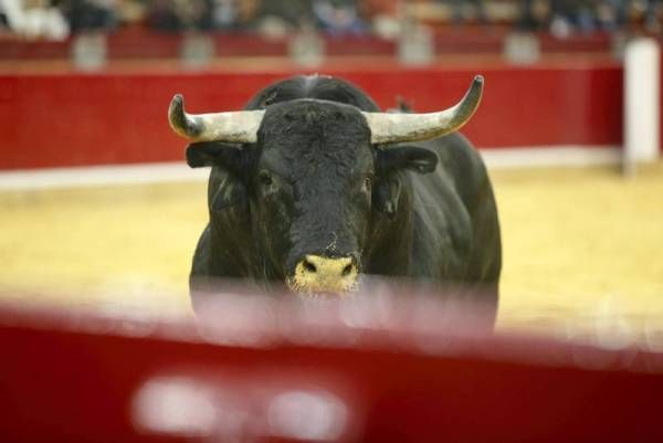 Vaquillas y rejones en la Feria San Jorge