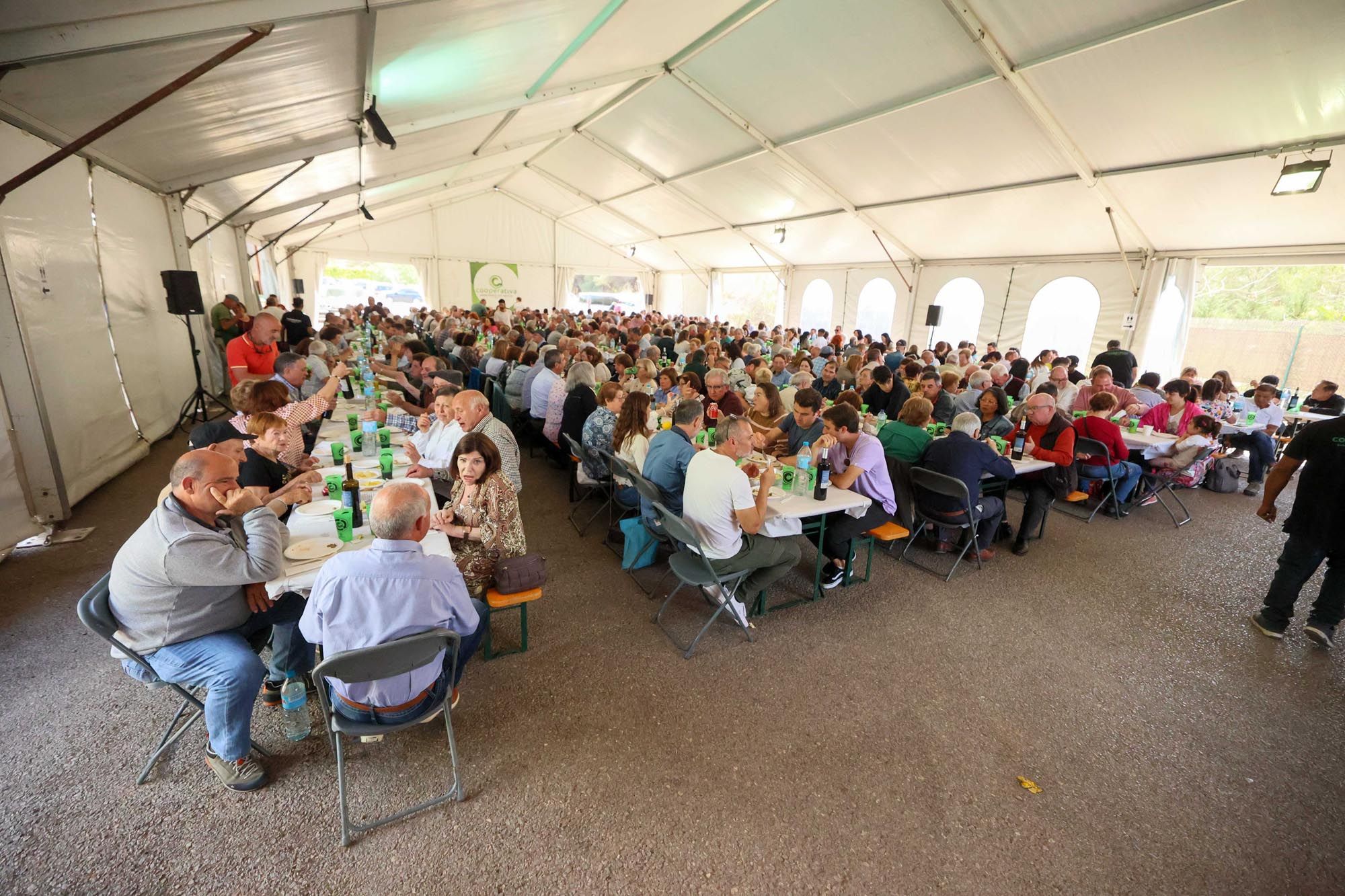 La asamblea de la Cooperativa Agrícola de Santa Eulària, en imágenes