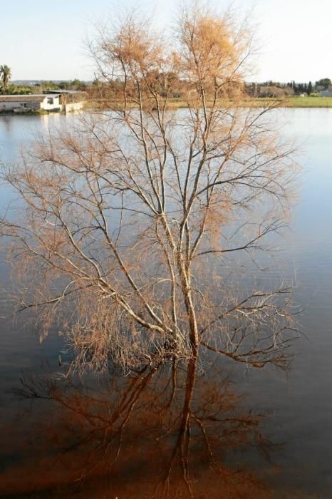 In dem kleinen Dorf in der Nähe des Flughafens von Mallorca steht das Wasser - und fließt seit Dezember nicht ab. Die Anwohner beklagen die Untätigkeit der Politik.