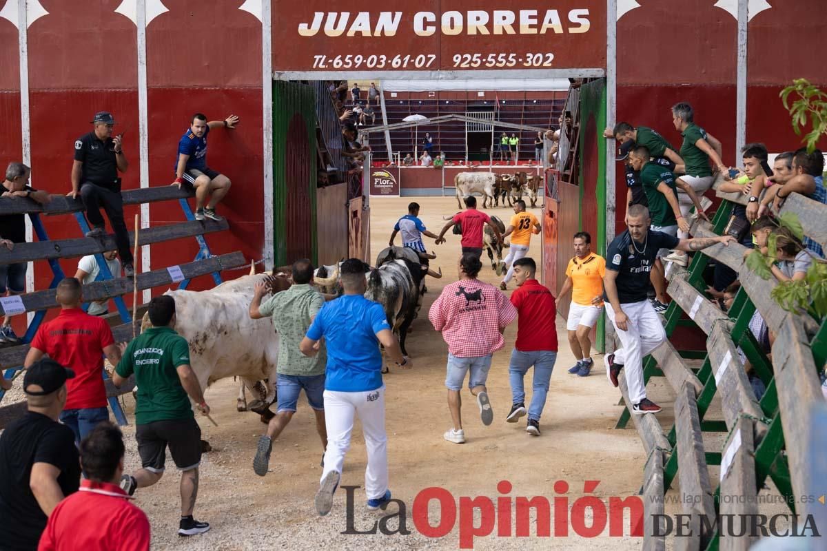 Primer encierro de la Feria del Arroz de Calasparra