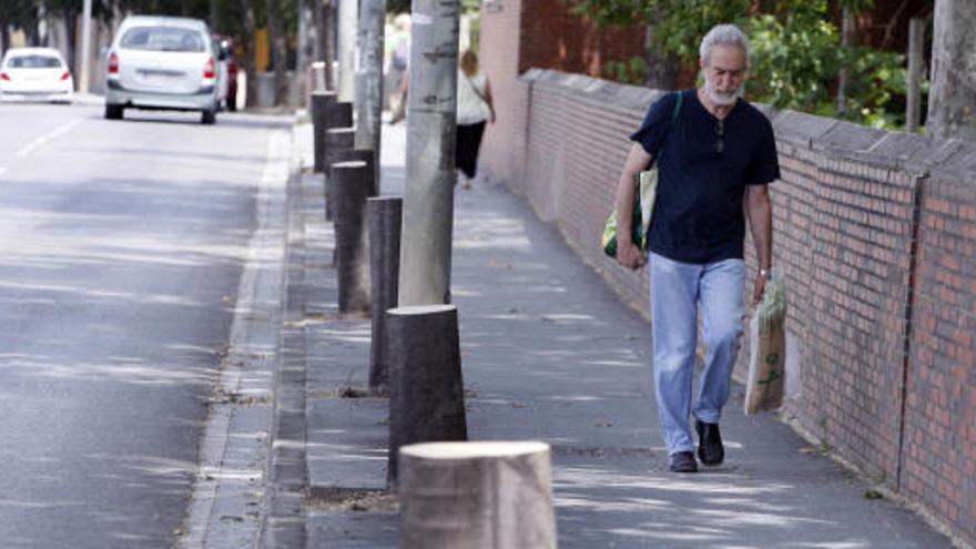 Talen una desena de lledoners de l&#039;avinguda Josep Tarradellas