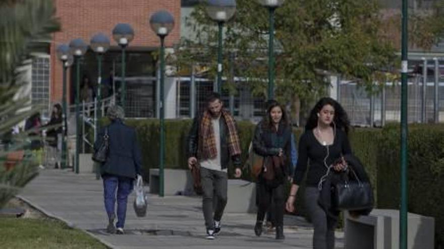 Estudiantes paseando por el campus universitario ilicitano de la UMH.