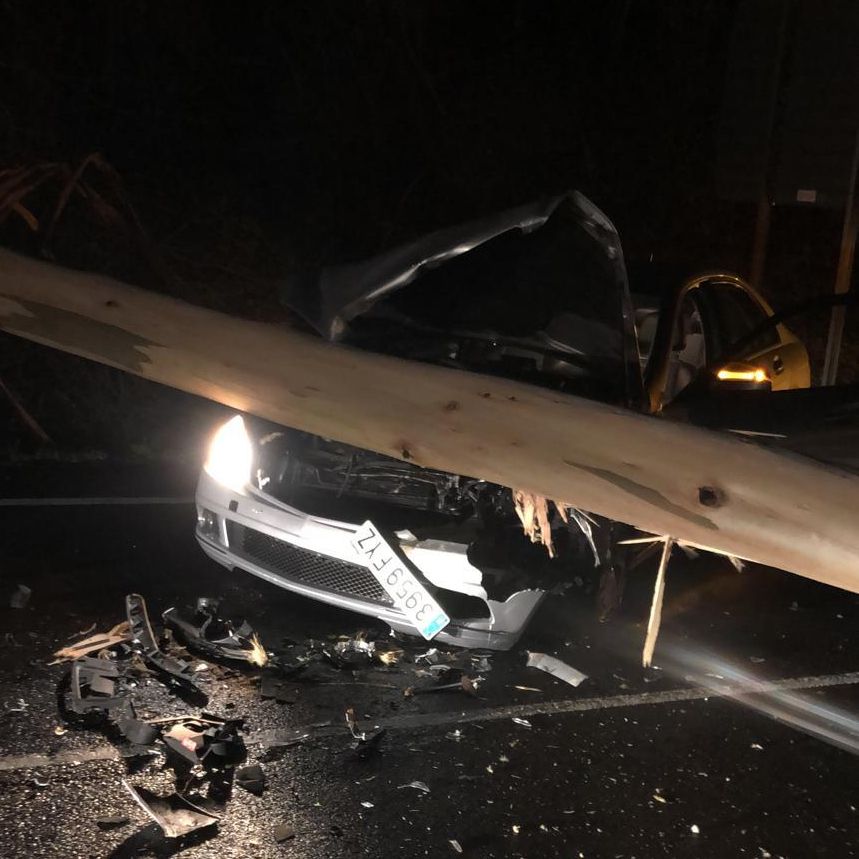 El coche con el tronco sobre el capó, tras el accidente.