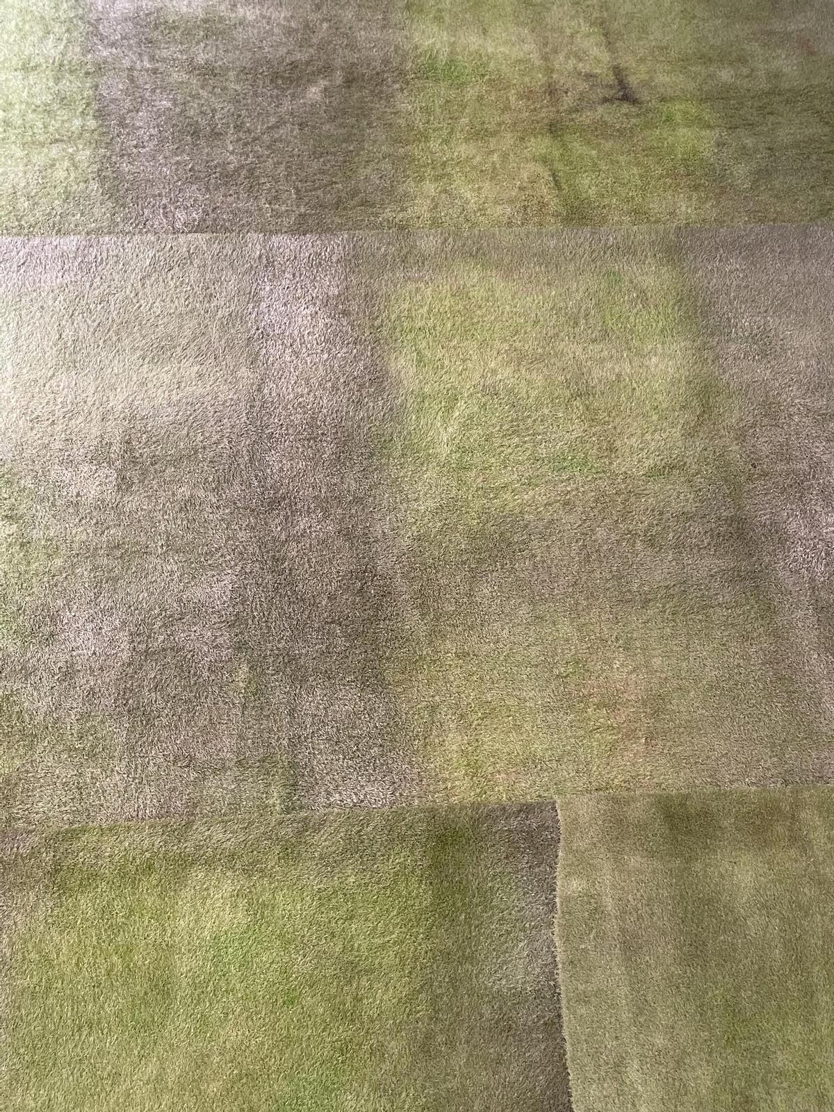 'Las últimas del verano (verde)' (2026), de Andrés Izquierdo.