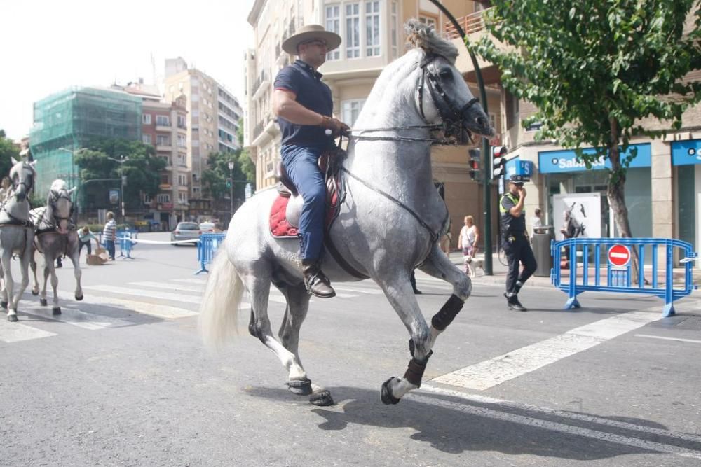 Día del caballo en la Feria de Murcia 2018