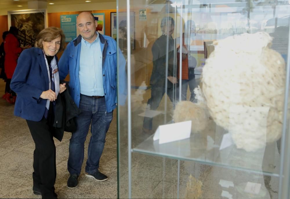 Sylvia Earle visita el Instituto oceanográfico de Gijón