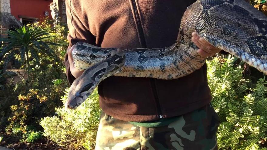 "Teresita" la nueva habitante del núcleo zoológico de San Esteban de las Cruces