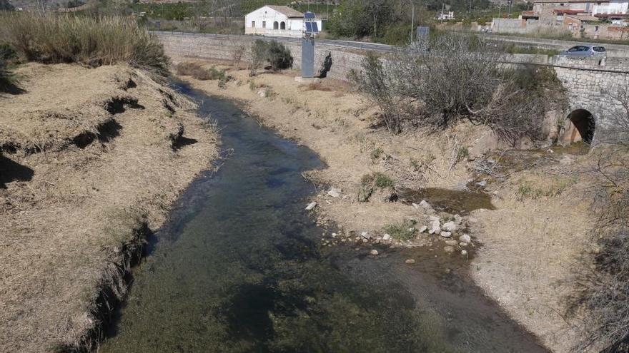 El mínimo caudal del Xúquer saca a la superficie las plantas acuáticas