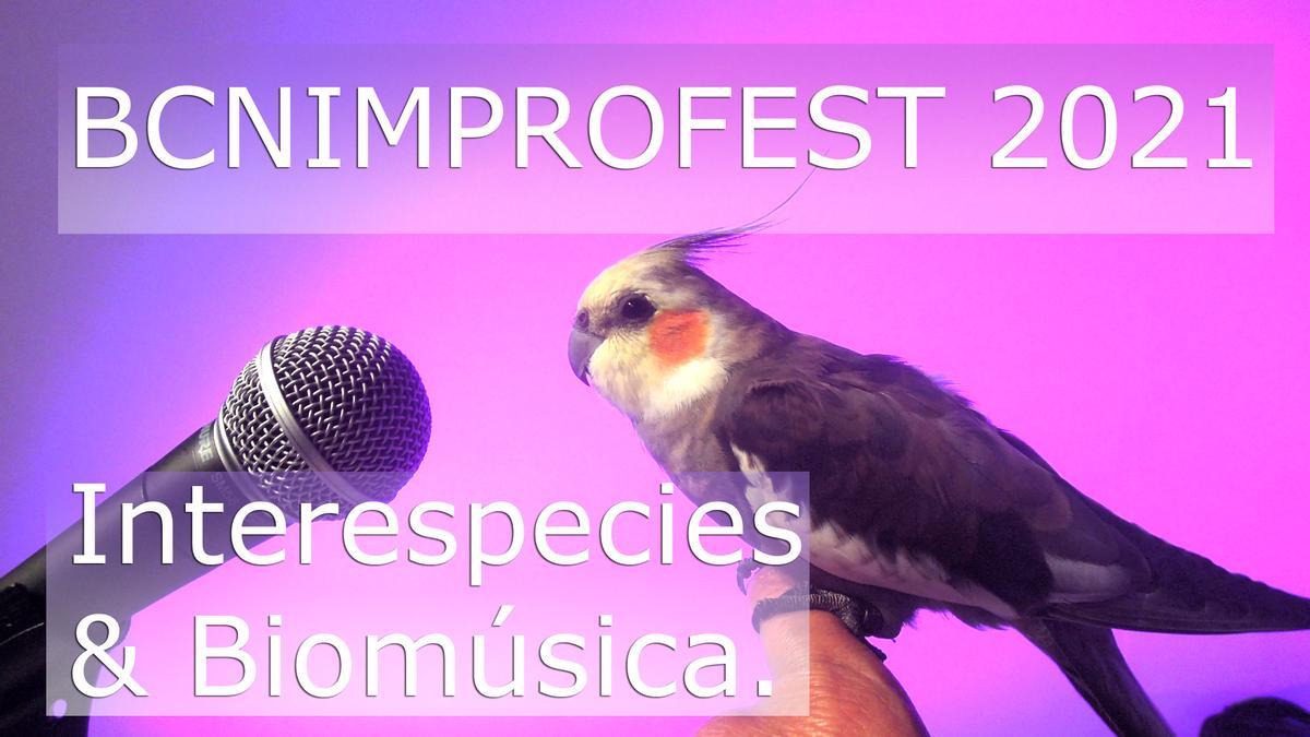 impro cartel