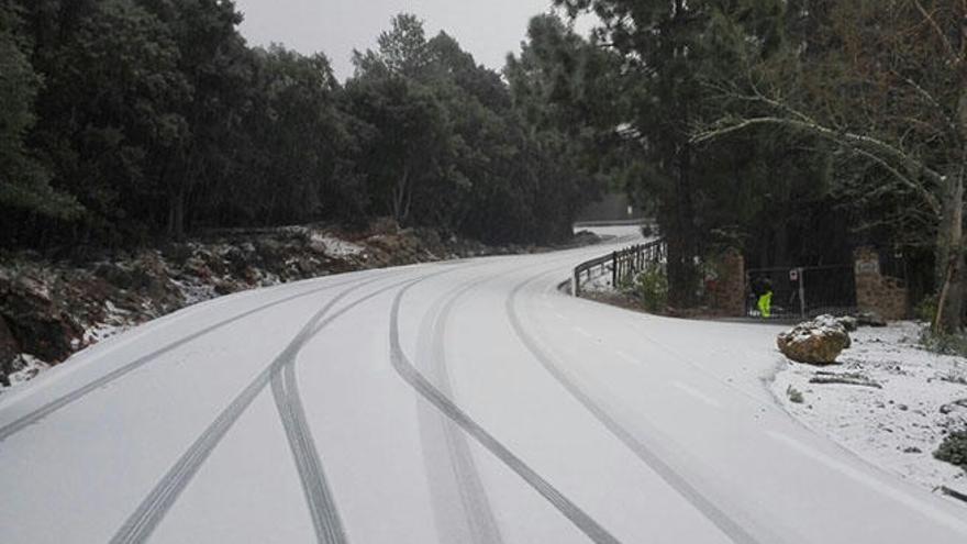 Schneefall auf Mallorca oberhalb von 700 Metern