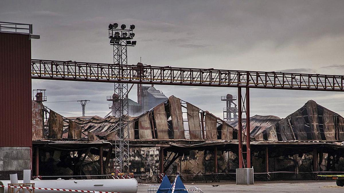 Naves destruidas por el incendio en las instalaciones centrales de Cobadu. | Nico Rodríguez