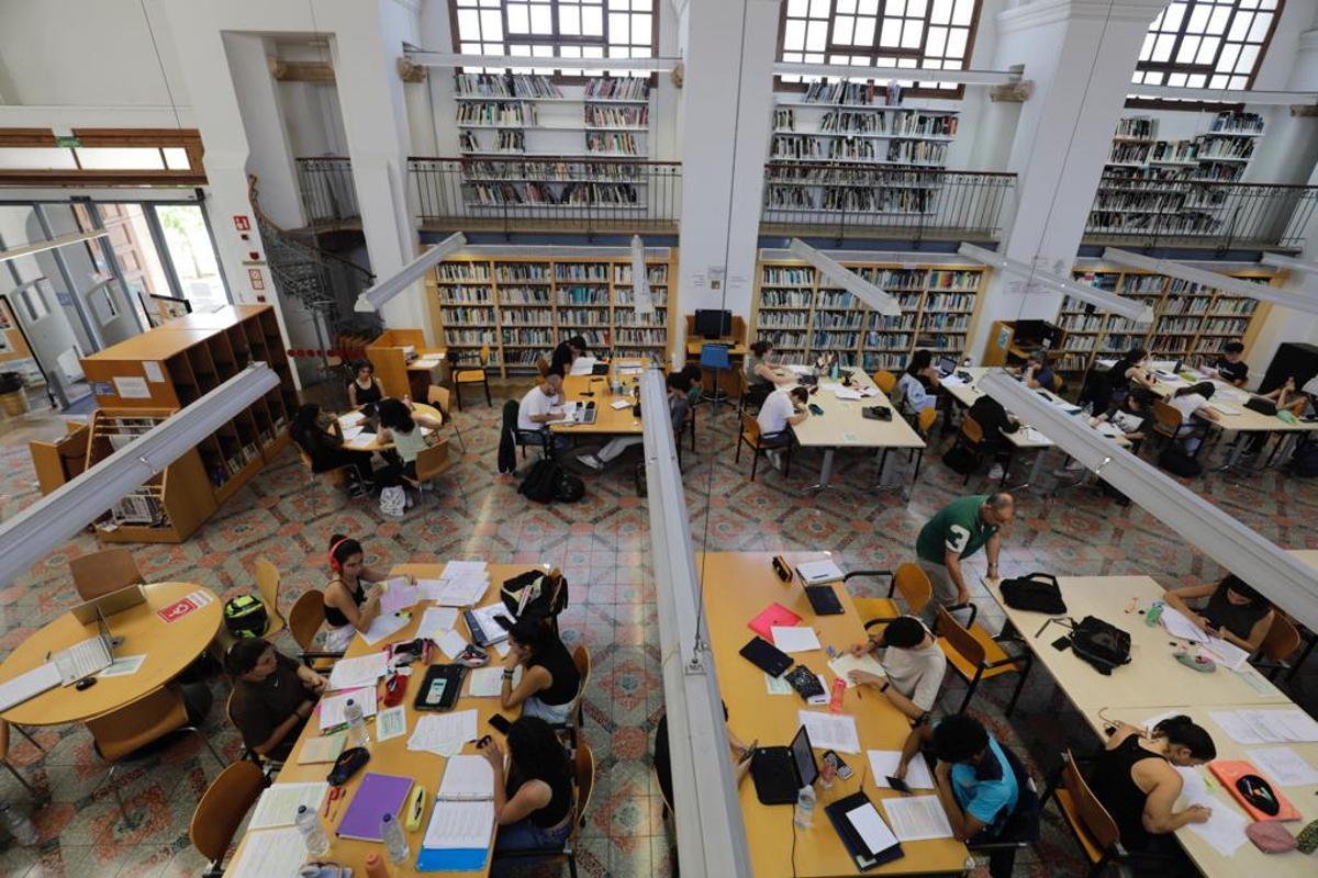 Jóvenes estudiando en una biblioteca de Palma