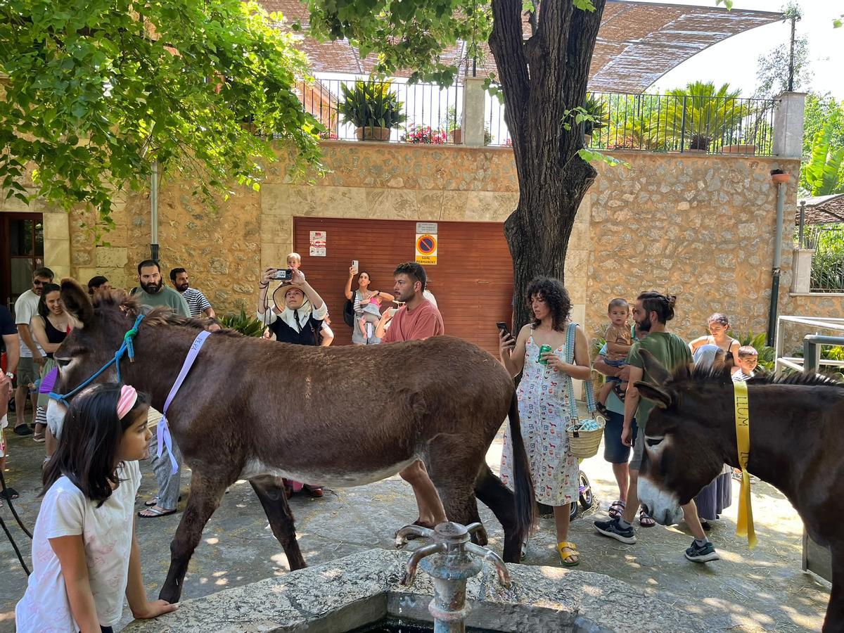 Así fue la fiesta de bienvenida en Esporles a las 'someres'