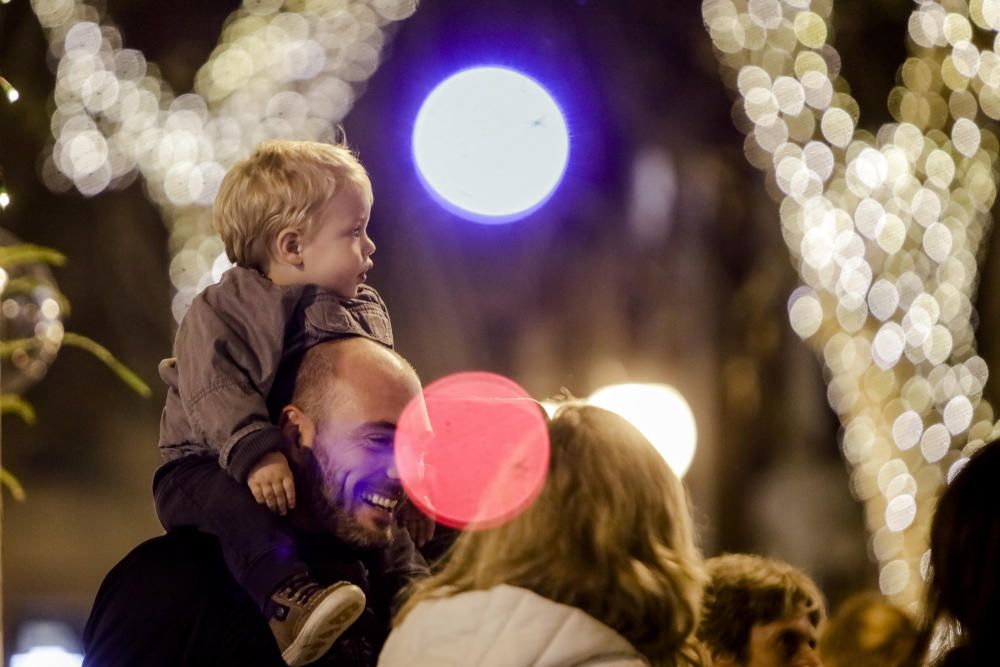 Encendido de las luces de Navidad: una ciudad prendida