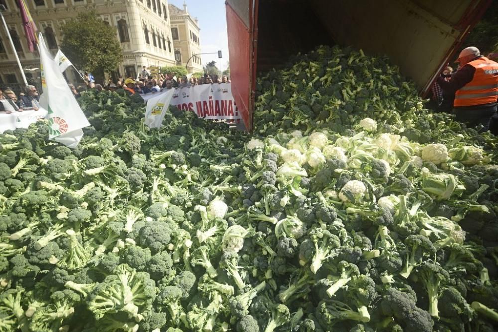 Así ha sido la manifestación de los agricultores en Murcia (II)