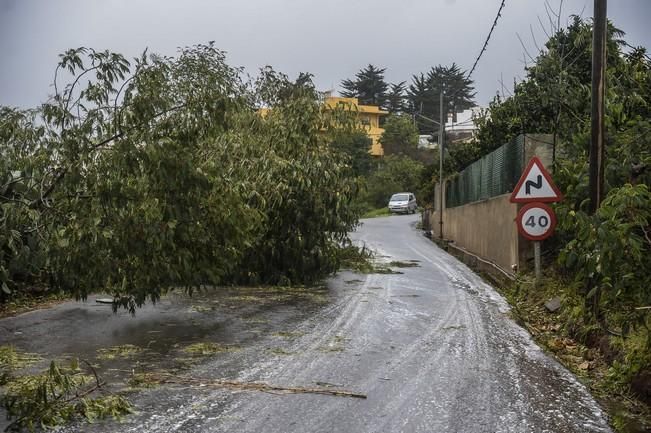 TEMPORAL ZONA NORTE