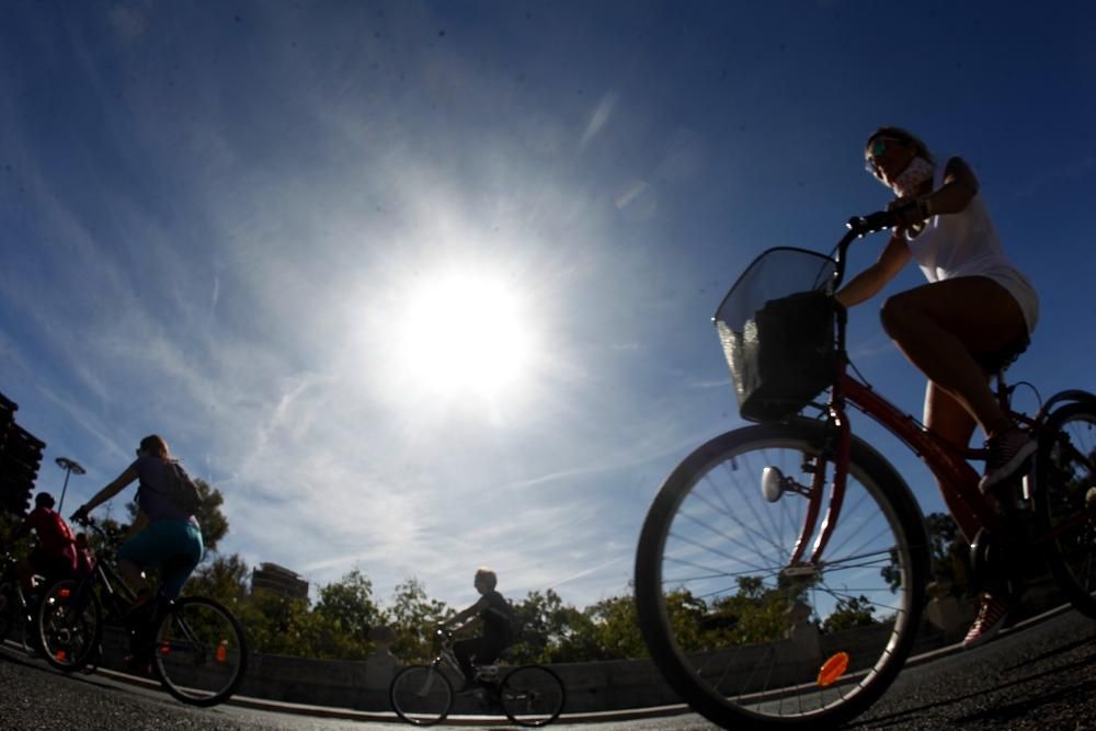 XX Día de la Bicicleta en Valencia