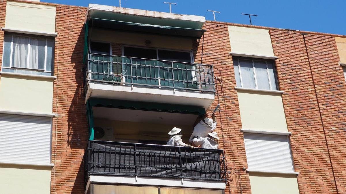 Los bomberos disipan un enjambre de abejas en una vivienda de Alzira