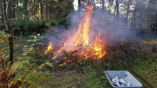 Prohibidas en Galicia las quemas agrícolas y forestales