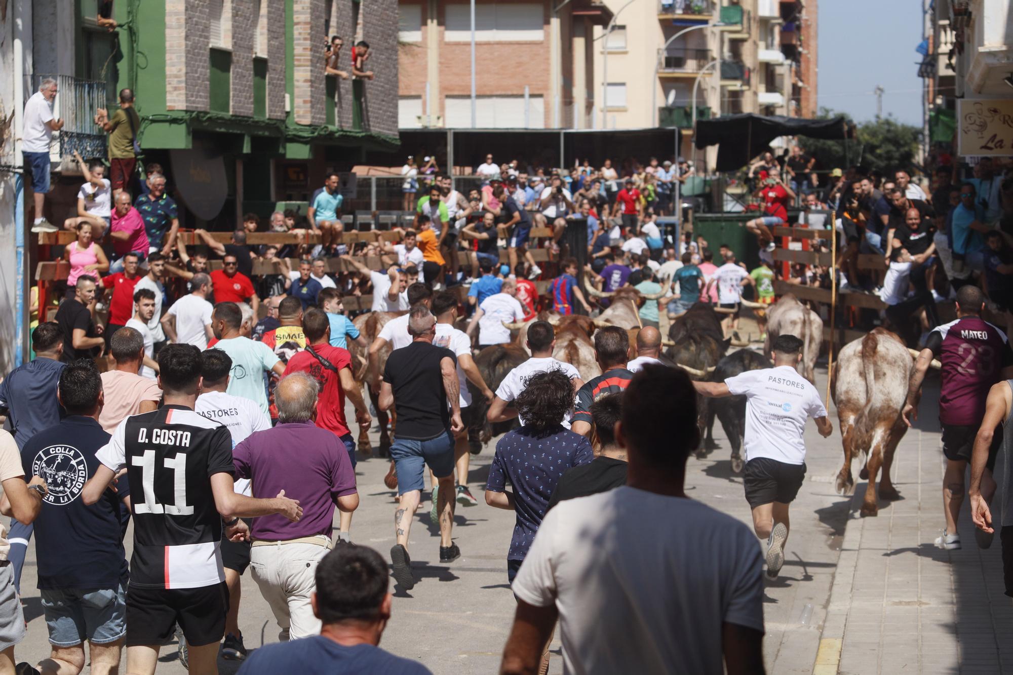 Fiestas de Sant Pere 2023: Las mejores imágenes del encierro de cerriles en el Grau de Castelló