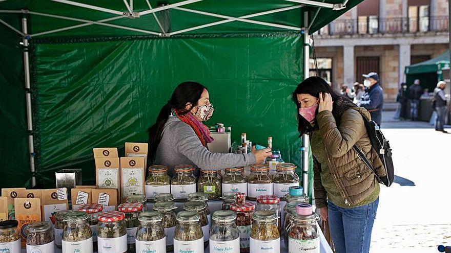 Una edición del mercado ecológico en la plaza de Castilla y León.