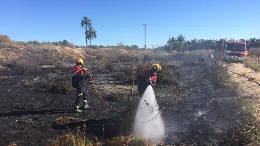 Un incendio calcina 3.000 metros cuadrados de matorral y palmeras en Albatera