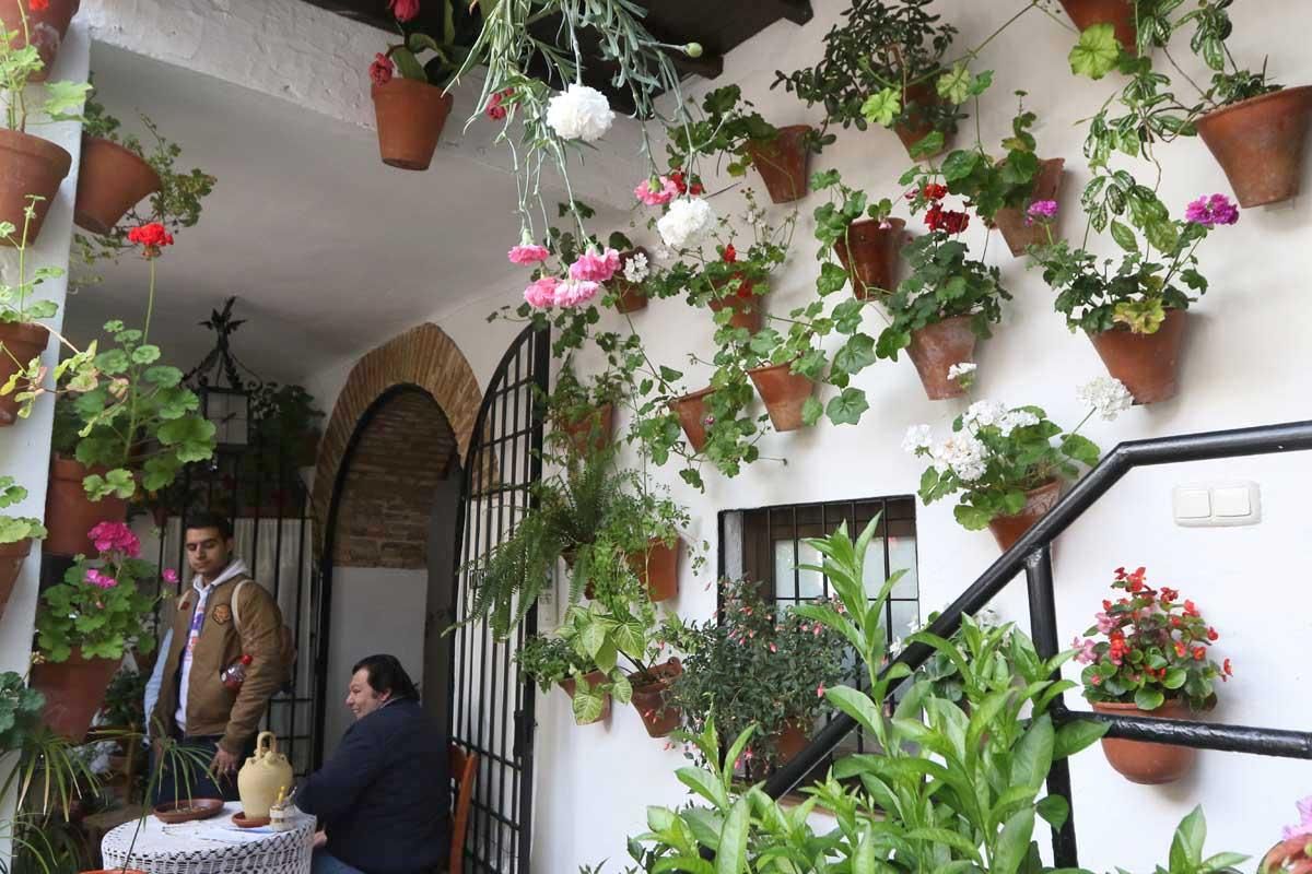 Paseando, patio a patio, por el Alcázar Viejo