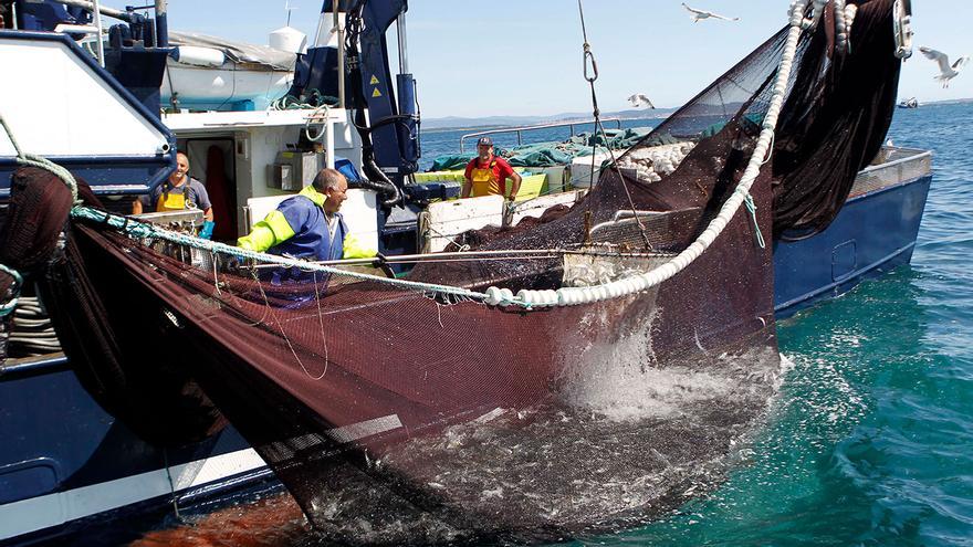 Pesca crea una “bolsa común” de sardina para repartir entre flotas sin excedentes