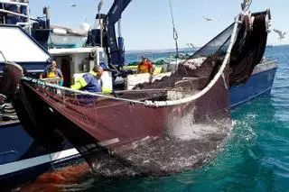 Pesca crea una “bolsa común” de sardina para repartir entre flotas sin excedentes