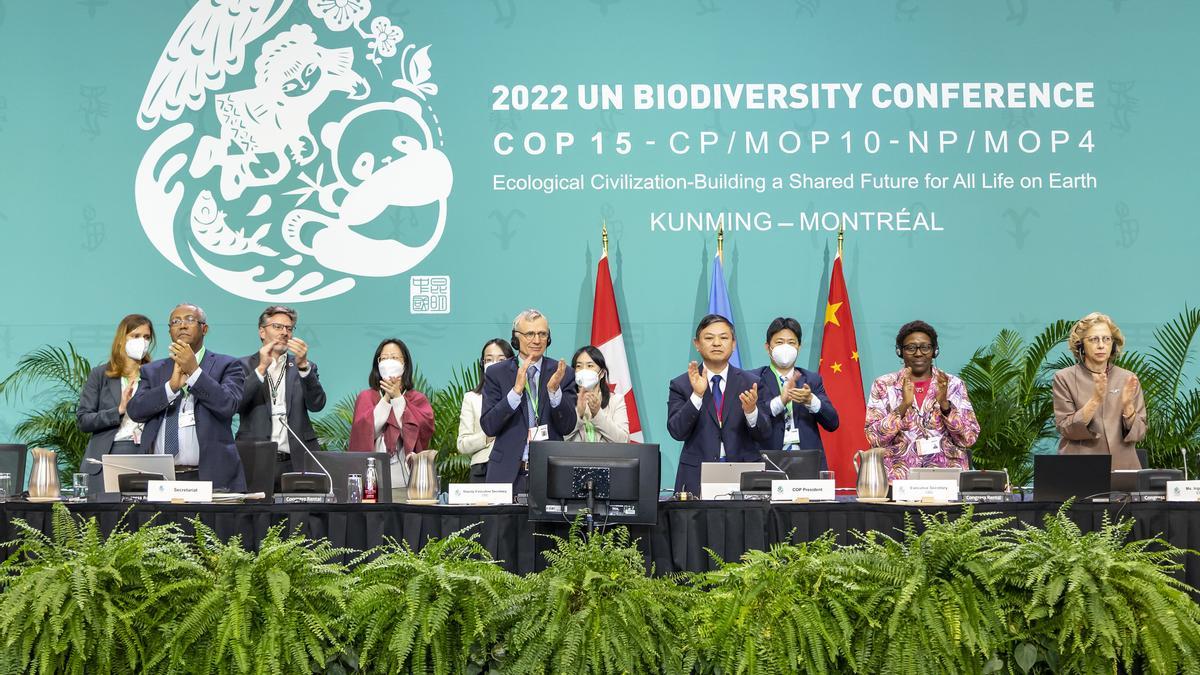 Cumbre de Montreal para la biodiversidad, uno de los grandes logros ecologistas alcanzados en 2022