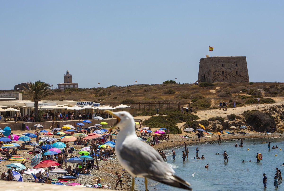Alicante retoma la comisión de Tabarca con la vista puesta en el patrimonio y la conservación ambiental.