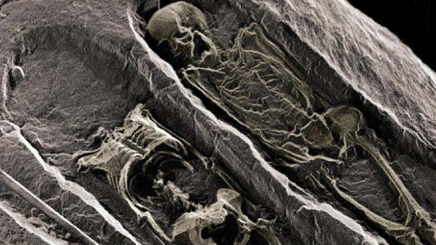 Imagen en 3D de los restos humanos localizados en Lomo Gordo.