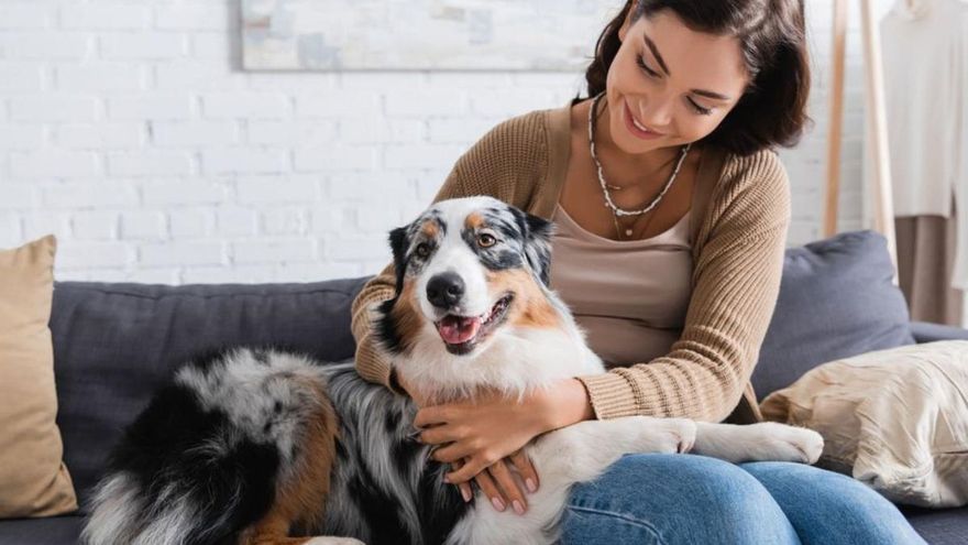 ¿Tu perro no se separa de ti ni en el baño? Descubre qué significa