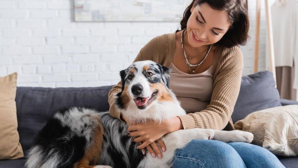 ¿Tu perro no se separa de ti ni en el baño? Descubre qué significa
