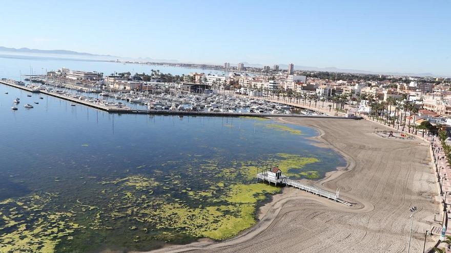 La Plataforma por un Mar Menor vivo piden un &quot;cordón vegetal&quot; en la laguna salada