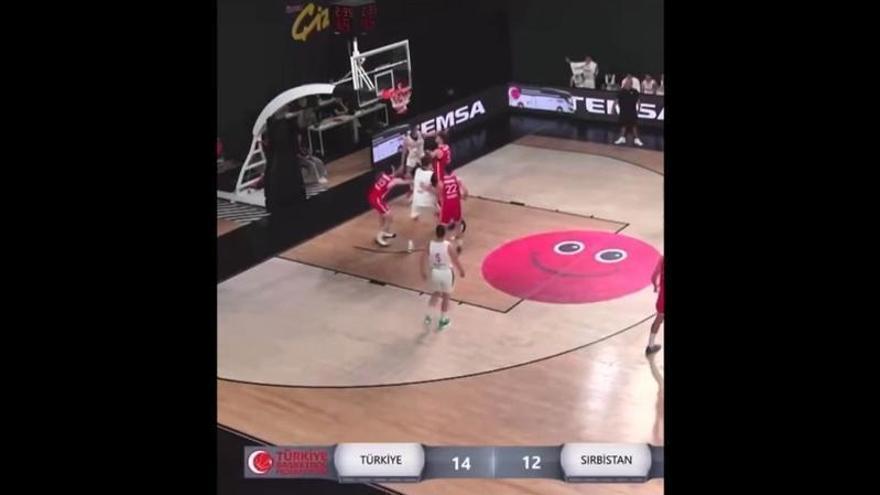 La última exhibición de Dzepina, jugador en tanteo por Valencia Basket, con su selección