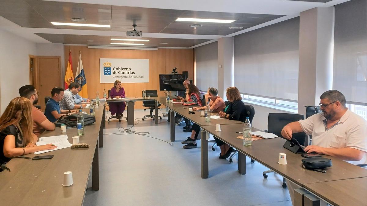 Imagen de la Mesa Sectorial de Sanidad del SCS que tuvo lugar este viernes.