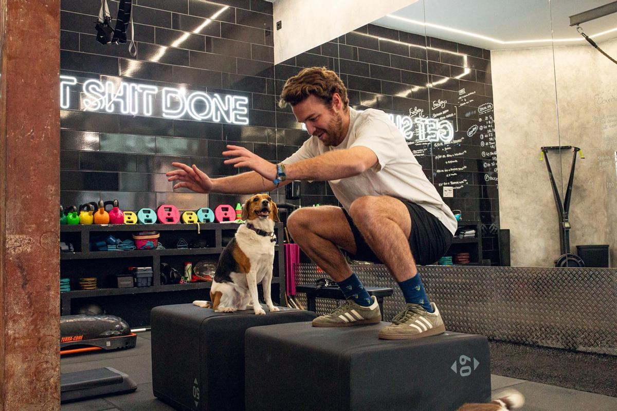 Cada vez más negocios permiten la entrada de mascotas en Madrid.