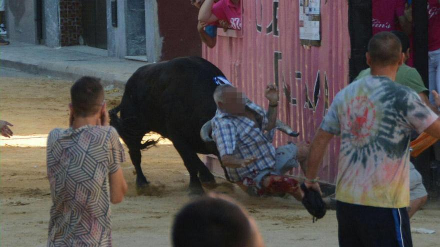 Momento de la embestida en Albalat dels Sorells, ayer.