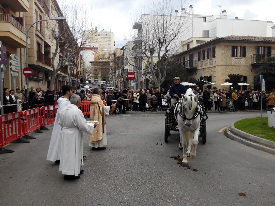 'Beneïdes' de Sant Antoni