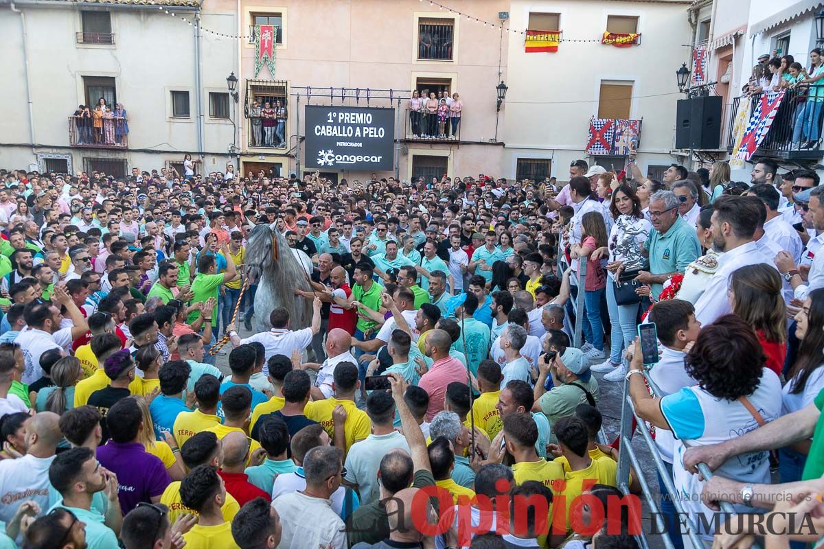 Entrega de premios del concurso morfológico de los Caballos del Vino de Caravaca